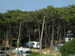 6 Camping Panorama du Pyla - camping en terrasse