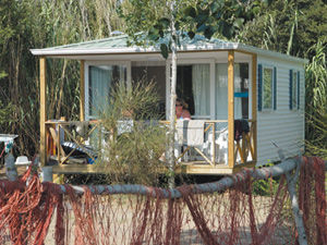 Cottage_4p_2ch_3f_Safari