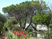 emplacement3